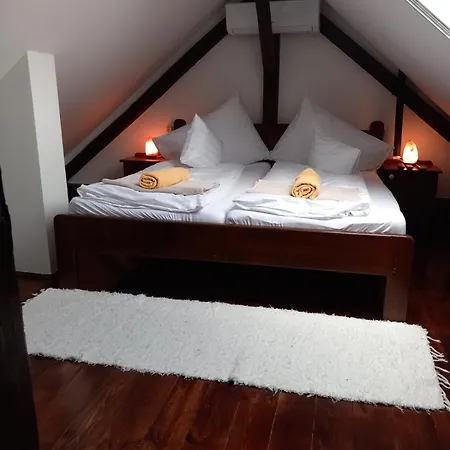 Apartment Saba Vendeghaz