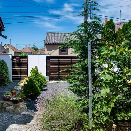 Saba Vendeghaz تابولتْسا