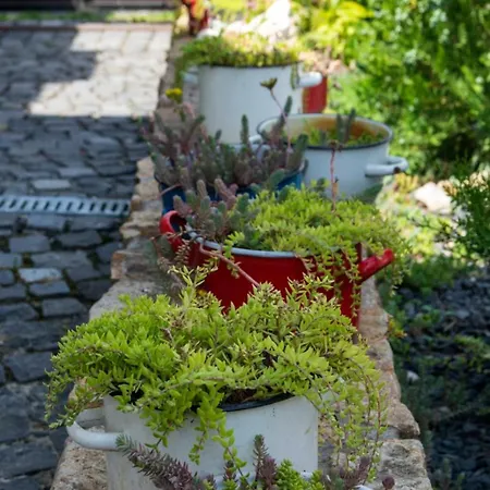 Saba Vendeghaz شقة *