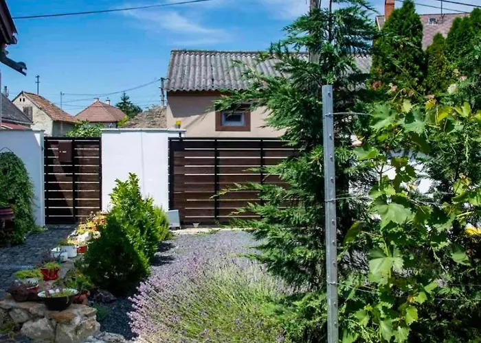 Saba Vendeghaz Tapolca