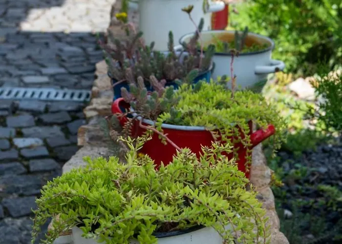 Saba Vendeghaz Apartment *